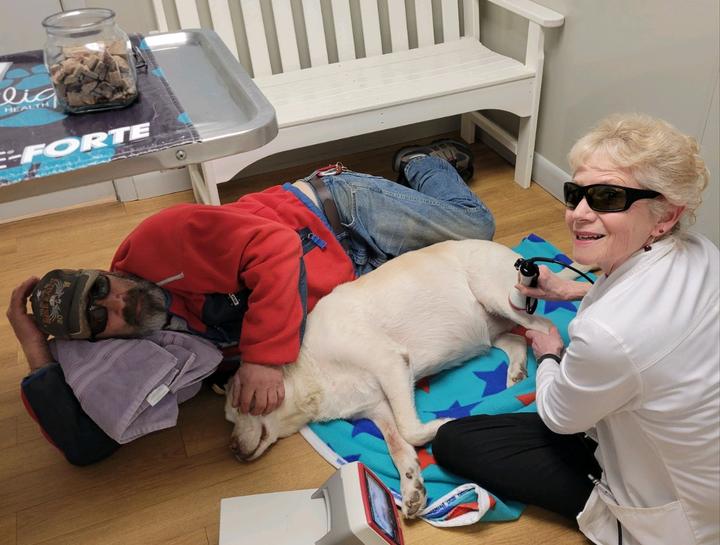 Laser Surgery for Pets in $city
