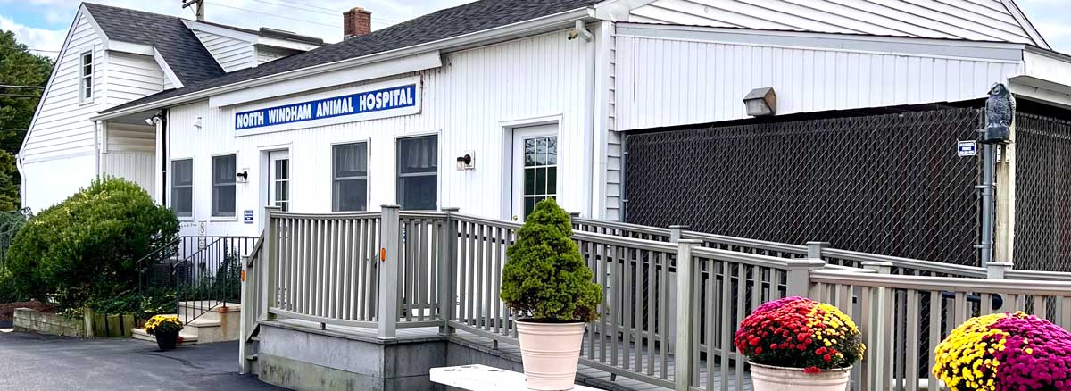 veterinarians in North Windham